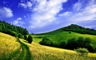 Grassy hill path trees blue - a grassy hill free wallpaper