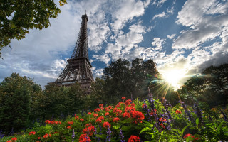 Eiffel tower forest flowers sky - paris school free wallpaper