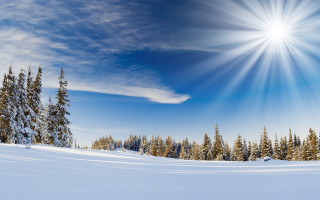 Sunny snowy day bright sun - crepuscular ray free wallpaper