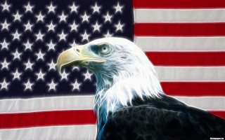 Bald eagle american flag digital - an american flag free wallpaper