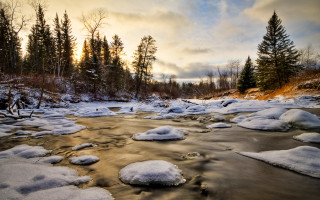 River snow trees cloudy sky - a few snow free wallpaper