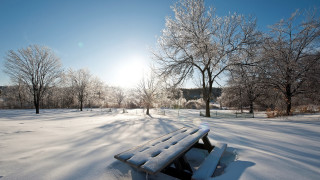 Snowy park bench trees house - a bench free wallpaper