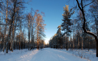 Snowy road forest blue sky - a few cloud free wallpaper for desktop
