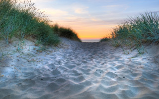 Beach sunset path grass sky - beach free wallpaper for desktop