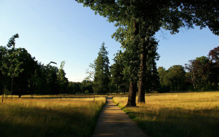 Path trees grass blue sky - landscape free wallpaper for desktop