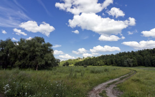 Dirt road field trees grass - landscape free wallpaper for desktop