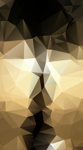 Abstract man face black brown - buckminster fuller free wallpaper for mobile