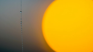 Yellow sun water droplets gray - a gray sky in the background free wallpaper for desktop