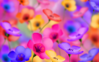 Flowers blurry background impressionist colorful - the grass together free wallpaper