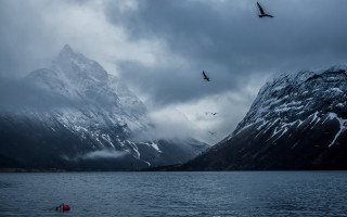 Bird water mountains sky flock - over a body of water free wallpaper