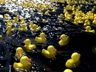 Rubber ducks water row 3d - the water surface free wallpaper