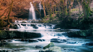 Waterfall forest rocks trees foreground 2 - a waterfall in a forest free wallpaper