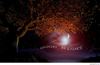 Night tree moon good night - computer graphic free wallpaper