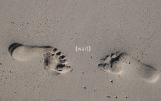 Footprints wait sand water blood - bruce nauman free wallpaper