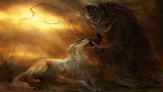 Dogs fighting field tree fantasy - a yellow sky free wallpaper for desktop