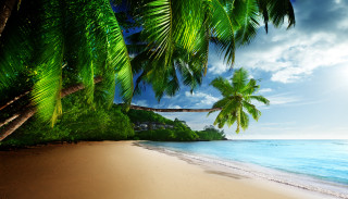 Beach palm tree house ocean 3 - felipe seade free wallpaper