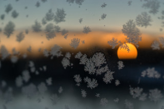 Frosty window sunset trees microscopic - frosty free wallpaper