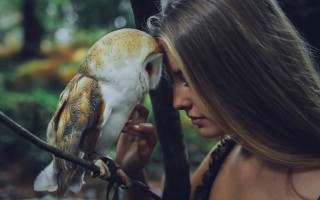 Woman bird forest puzzle animal - a branch in a forest free wallpaper