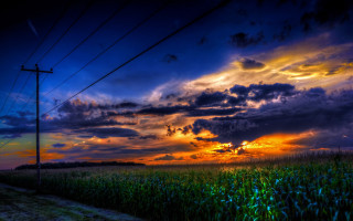 Cornfield sunset cloudy sky powerlines - power free wallpaper