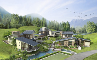 House pond trees green field - a pond free wallpaper