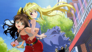 Red dress girls blue elephant - a red dress free wallpaper for desktop