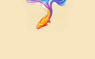 Long tail fish floating rainbow - its back end free wallpaper
