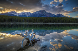 Lake tree stump mountains clouds - carl critchlow free wallpaper for desktop