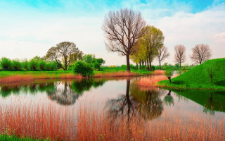 Pond trees grass blue sky 2 - impressionism free wallpaper