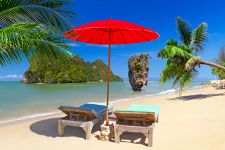 Beach lounge chairs umbrella palm - summer vibrancy free wallpaper