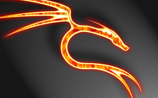 Glowing orange dragon shadow fire - a dragon free wallpaper