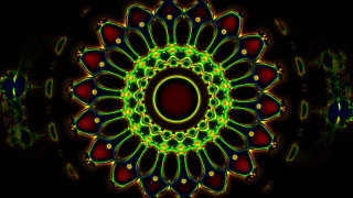 Colorful flower black background red - a green center free wallpaper for desktop
