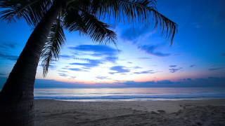 Palm beach sunset clouds ocean 2 - a sunset in the background free wallpaper for desktop
