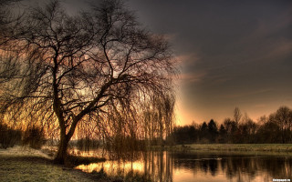 Tree grass water sunset naturalism - anton graff free wallpaper