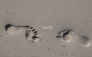 Footprints sand water wait conceptual - bruce nauman free wallpaper