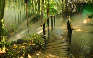 Bamboo woodenwalkway mist shining light - mist free wallpaper for desktop