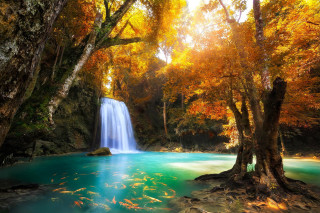 Waterfall forest blue pool autumn - a blue pool of water free wallpaper