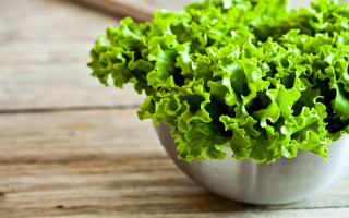 Plant metal bowl wooden table - a wooden table free wallpaper for desktop