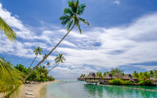 Tropical beach palm hut dock - palm tree and a hut free wallpaper