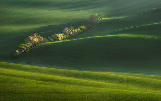 Green field trees hill mountain - the hill free wallpaper for desktop