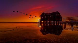 Birds flying over water sunset - over the water free wallpaper