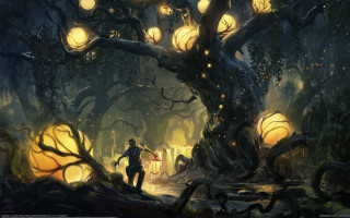 Forest lights man lantern magic - a forest next free wallpaper for desktop