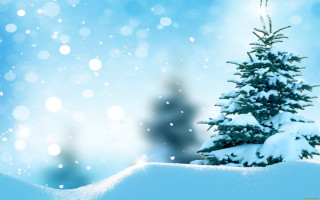 Christmas tree snow blue sky - naive free wallpaper