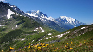 Mountain range snow capped wildflowers - bernard meninsky free wallpaper