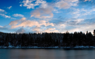 Lake trees cloudy sky winter - white cloud above free wallpaper