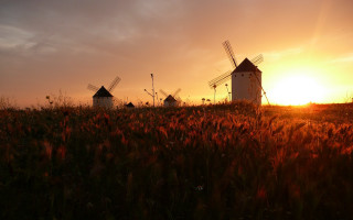 Sunset windmills field redflowers cinematic - arthur b. carles free wallpaper