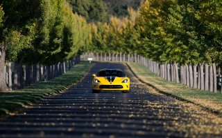 Yellow sports car road trees 2 - a row of trees free wallpaper for desktop