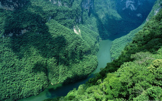 River valley green trees mountains - narrow free wallpaper