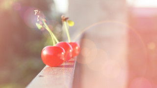 Cherries bench sunlight blur photorealism - the sun light free wallpaper for desktop