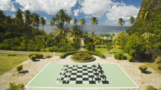 Large chessboard garden palm trees - danube school free wallpaper