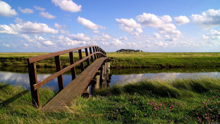 Wooden bridge river field flowers - free landscape wallpaper